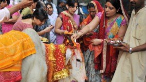 120419014951-hindu-sacred-cow-horizontal-large-gallery